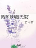 循环梦境[无限]