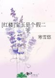[红楼]宝玉是个假二爷
