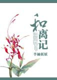 和离记（大唐商女传）