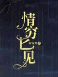 情穷匕见