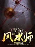 青乌风水师