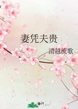 妻凭夫贵
