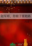 陆军师，你娘子要跑路